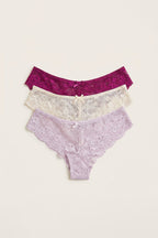 BLS - Lace Panty Pack Of 3 - Plum Caspia-Lavender Fog-Cream Pink