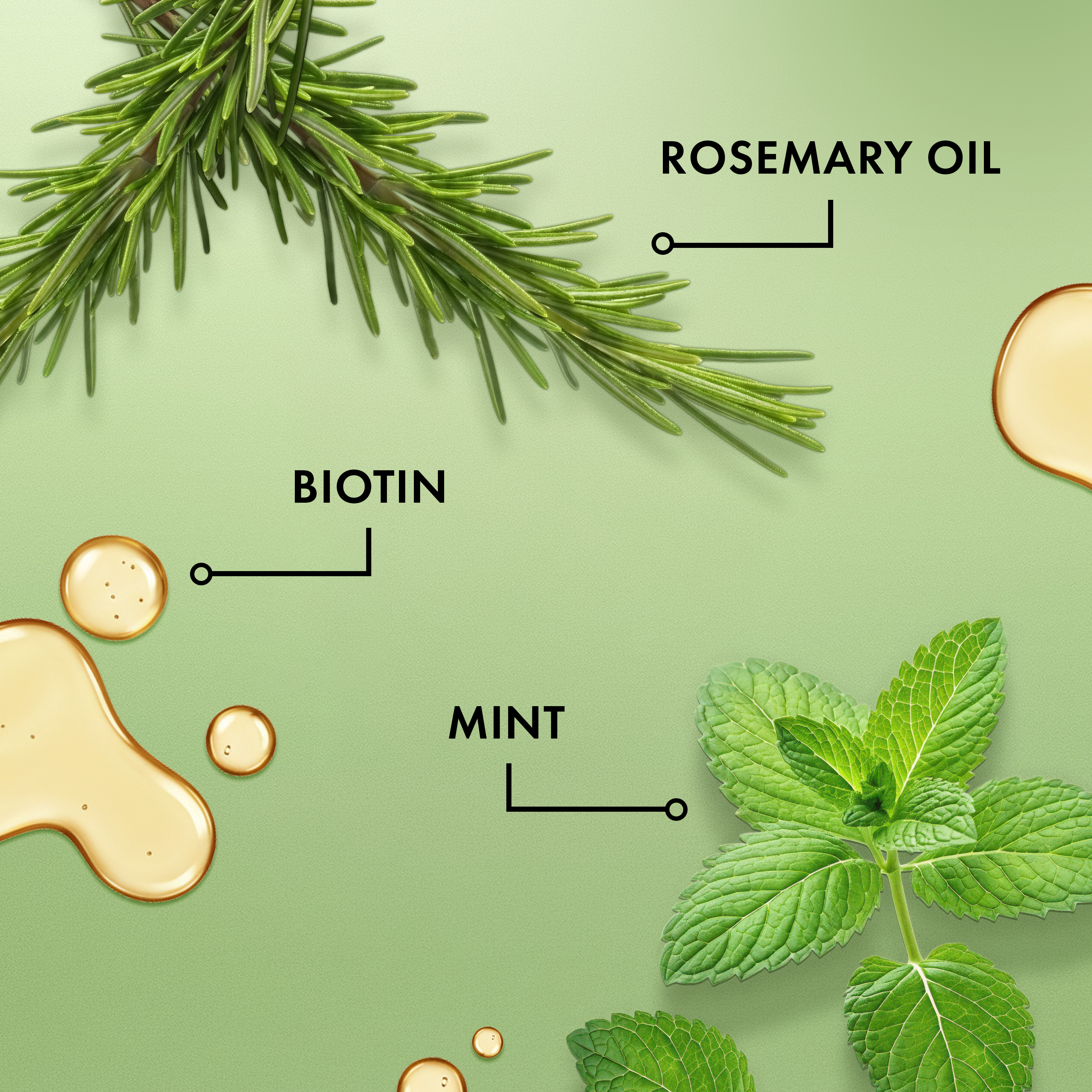 Mielle - Leave-In Conditioner Rosemary Mint Strength - 355Ml