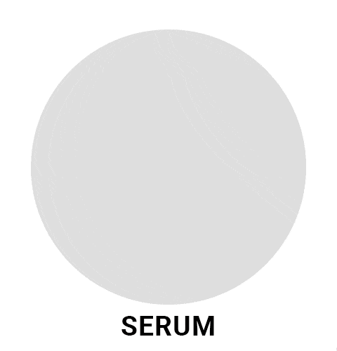 Makeup City Pakistan