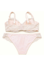 BLS - Blush Floral Lace Bikini Panty - Pink