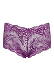 BLS - Liza Lace Boyshort - Purple