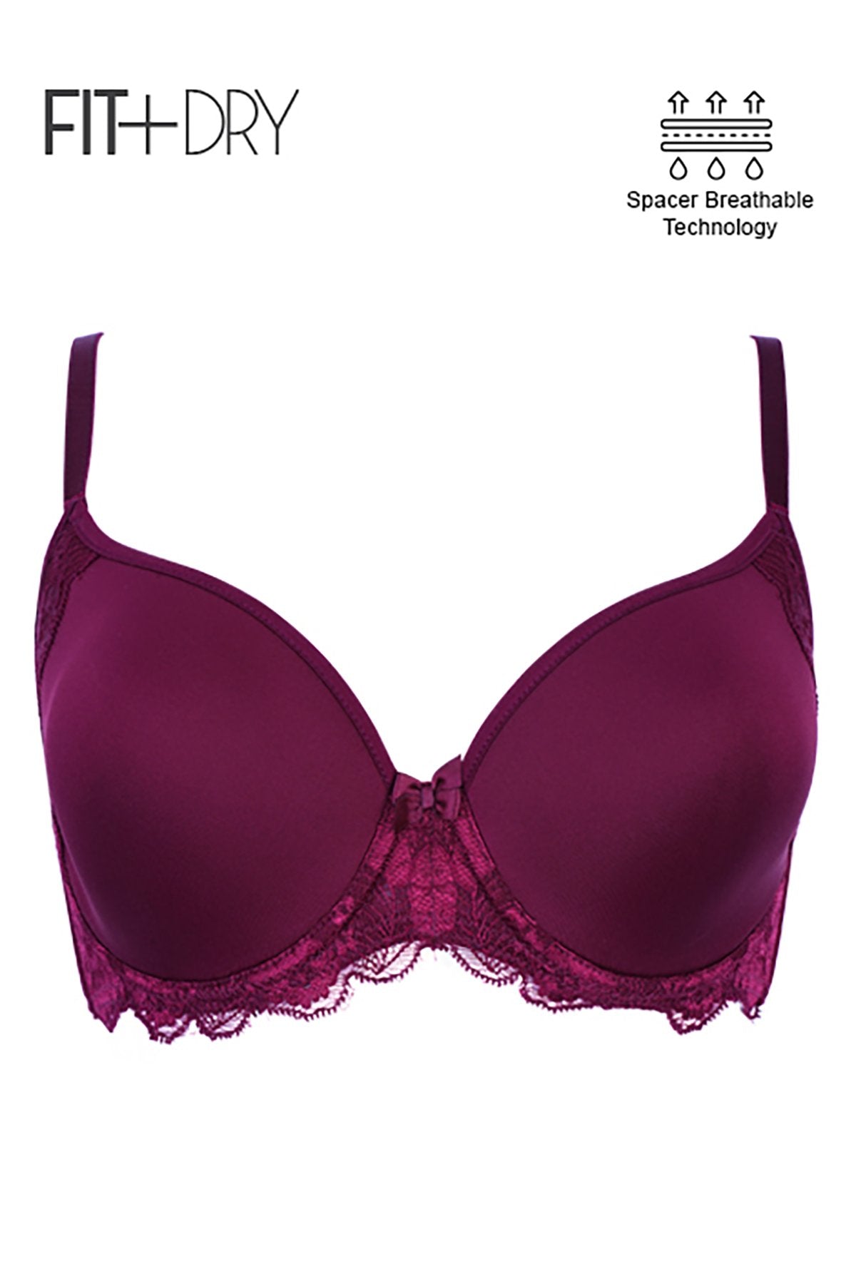 Buy Lace Each Day Up Spacer Cup Non Wired Maroon Bra for Women